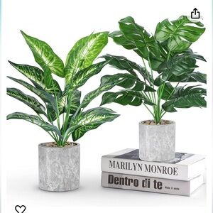 Artificial Green Plants in Gray Pot set of 2